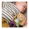 Taf Toys Κρεμαστό Παιχνίδι Κούνιας και Καροτσιού με Μασητικό Jenny The Bunny 12995